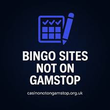 Exploring Bingo Sites What to Look Out For Exploring Bingo Sites What to Look Out For