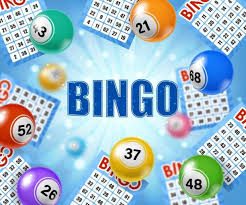 Exploring Bingo Sites What to Look Out For Exploring Bingo Sites What to Look Out For